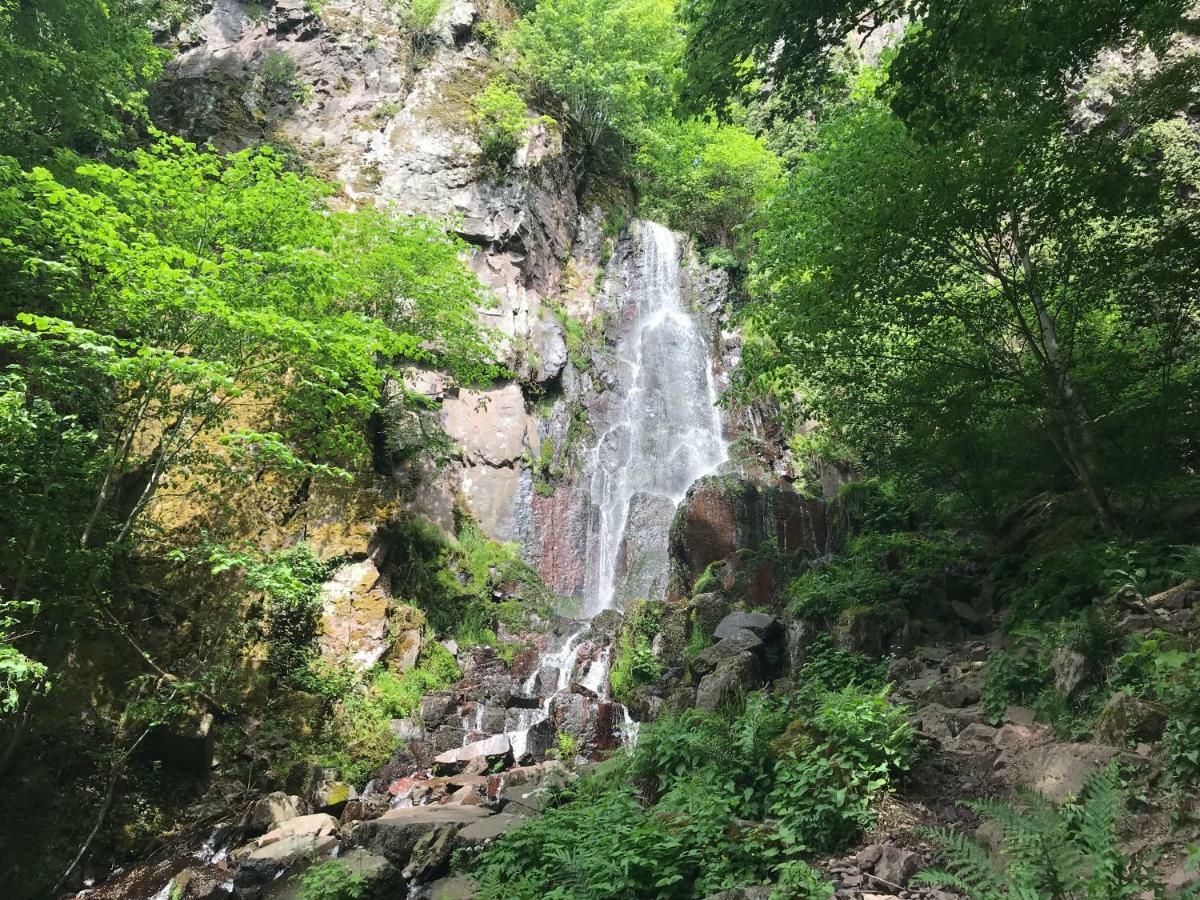 Chez Dina Daire Lutzelhouse Dış mekan fotoğraf